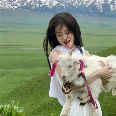 正义小包公 在线观看